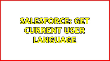 Salesforce: get current user Language
