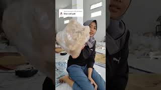 pembelian telur jangkrik bisa COD seluruh Indonesia telur jangkrik garansi kirim sampe tujuan aman