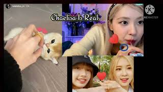 Chaelisa Is Real 😘 (Blackpink) 😍 210212 💩🖤🌼💐