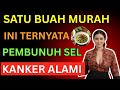 SATU BUAH MURAH INI TERNYATA PEMBUNUH SEL KANKER ALAMI!