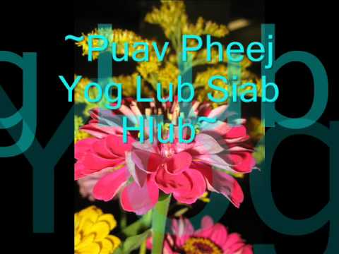 Video: Tsev Khaws Puav Pheej Yog Dab Tsi