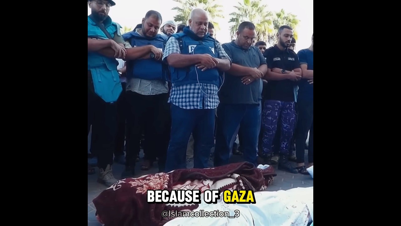 How Gaza Is Changing Peoples Hearts❤️ 