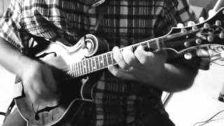 Mandolin Jamming on Whiskey Before Breakfast by Bradley Laird chords