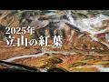 【立山の紅葉】今年は10年に1度の紅葉！3泊4日のテント泊で楽しむ立山の紅葉｜別山・剱御前｜前編