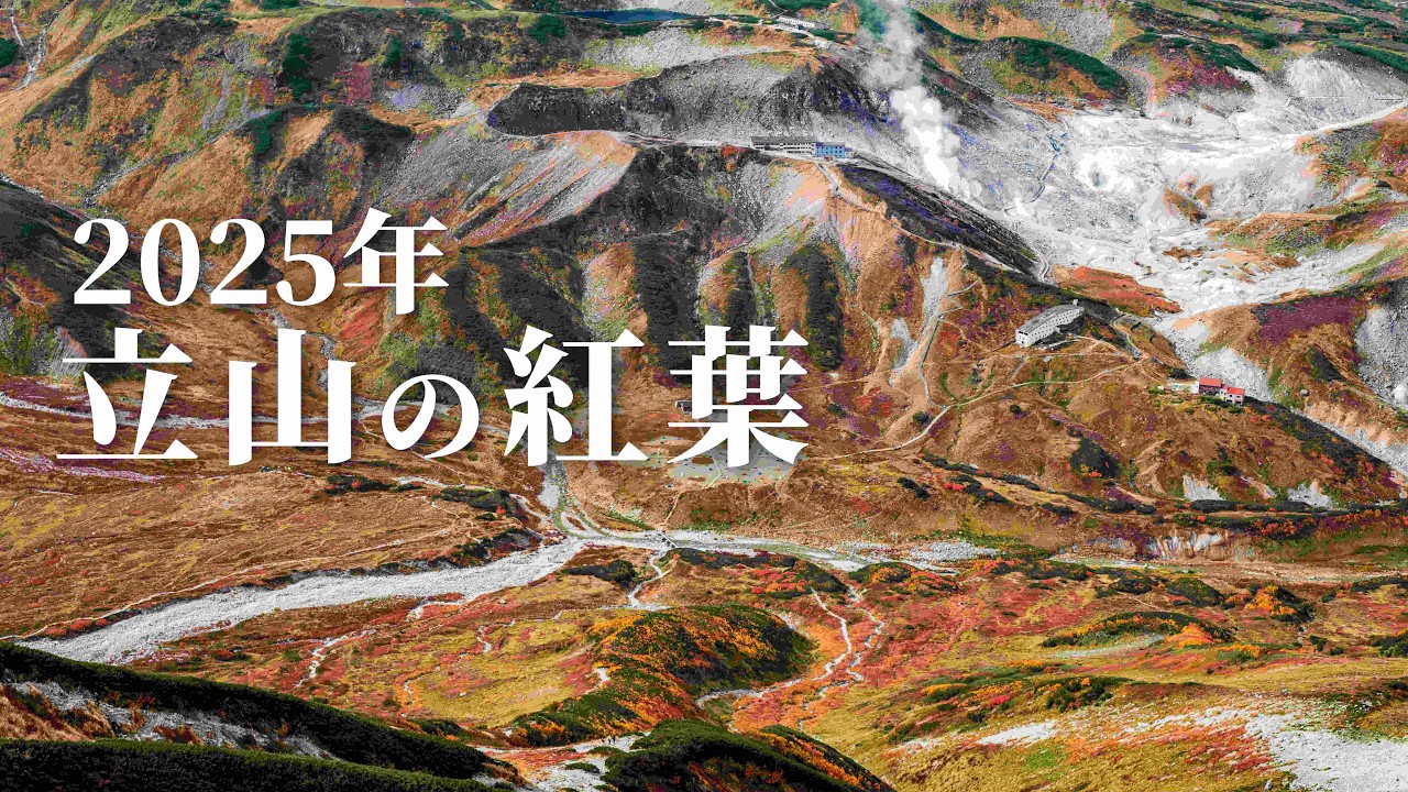 Tateyama Autumn Foliage] This year's autumn foliage is a once-in-a