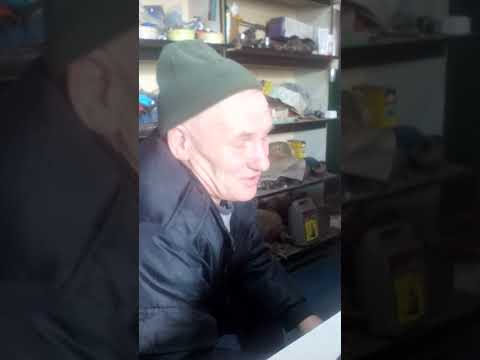 Гудков пчела