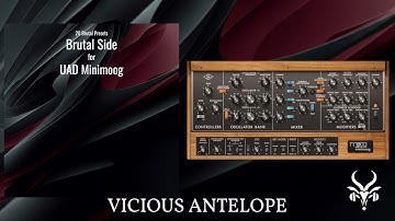 UAD Moog Minimoog Presets | Vicious Antelope Brutal Side