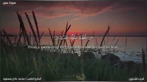 المصحف المرتل 📖 | تلاوات خاشعة ✨| ما تيسر من سورة عبس للقارئ الطبيب محمد عادل مسعود💛💫