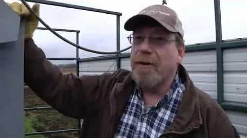 Raising Bison on the Prairie
