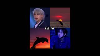 #goviral #kpop #straykids #subscribe #comment #kpop #stay #kpopmoments #kpopshorts #kpopfy #bangchan