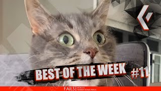 WORLD'S FAILs | BEST OF THE WEEK #11