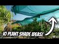 DIY Shade Examples For Keeping Your Plants Cool!