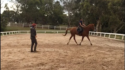 Lessons with Dale Flynn/ Riding around