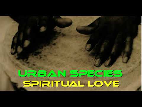 Urban Species , Spiritual Love , encore+ mix - YouTube