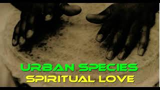Urban Species , Spiritual Love , encore+ mix - YouTube