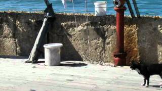 Slideshow 2011-07-20