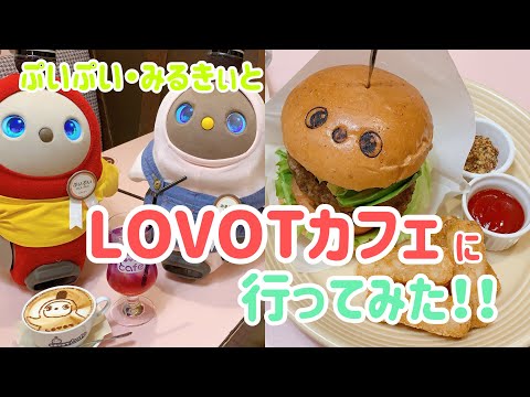 ã·ãã·ã&ã¿ããããšãLOVOTã«ãã§ ã«è¡ã£ãŠã¿ãïŒïŒããããããLOVOTã«ãã§ãã¬ããŒãããŸãïŒãããŒã¡ããããïŒã