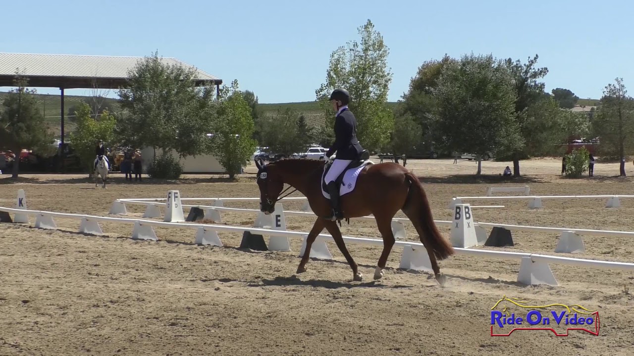 horseshoe bend 188D Anya Mason on Mairin JR Novice Dressage Twin Rivers Ranch Sept. 2019