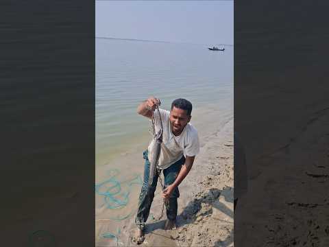 Amazing Fishing video in River 2026 #fishing #lurefishing #viral