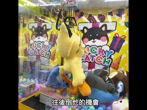 發現稀有寶可夢，喵喵!! #k霸#新竹
