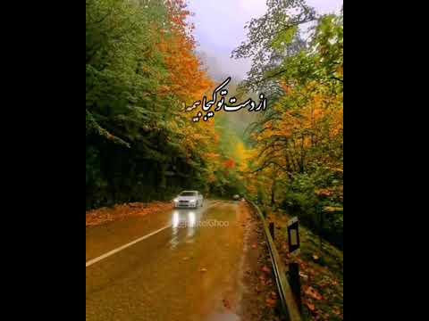 دونه دونه دونه انار دونه مازندران  