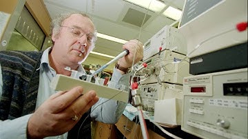 Motherisk hair-test program harmed vulnerable families, report says