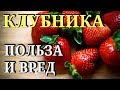 КЛУБНИКА. Состав, польза и вред для здоровья