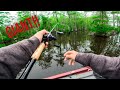 Fishing a cypress tree heaven filled with giant bass  first fishing tournament on the chowan river