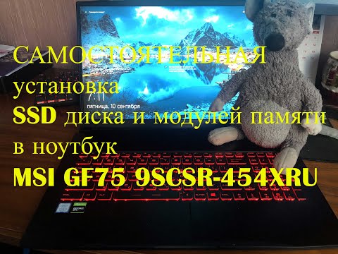 Установка SSD и модулей памяти в  MSI GF75 /How to Install a SSD& memory modules in  MSI GF75