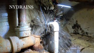 Clogged Drain #229 by NYDRAINS - The Original 49.95 Any Sewer or Drain 13,447 views 3 weeks ago 9 minutes, 30 seconds