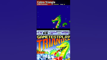 Cobra Triangle NES Shorts Remember