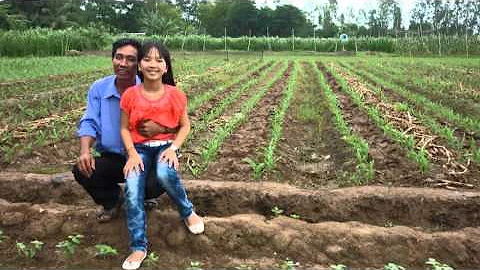 CHUYỆN TÌNH LAN VÀ ĐIỆP - Bé Quỳnh Như Thần Đồng Cổ Nhạc 11 Tuổi