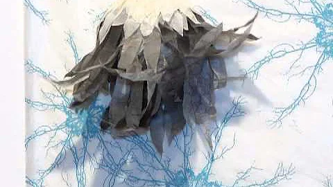 Artist Profile - Elizabeth D'Agostino