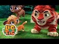 Leo & Tig - El ciervo rojo (episodio completo) | Caricatura animada 🐯🦁