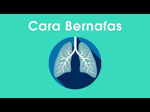 Video: Cara Betul  Menuai  Dan Menyimpan  Cendawan