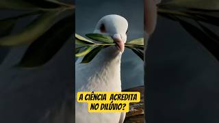 A CIÊNCIA ACREDITA NO DILÚVIO? #diluvio #diluviobiblico #diluviouniversal #dilúvio #bibliapop