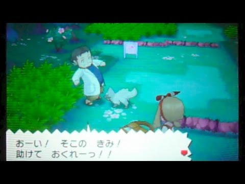 ポケモンoras 6 御三家の出会い オダマキ博士を助けろ 101番道路 Youtube