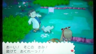 ポケモンoras 6 御三家の出会い オダマキ博士を助けろ 101番道路 Youtube