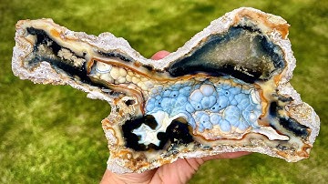 I cut $900 of Agatized Coral Geodes Open!