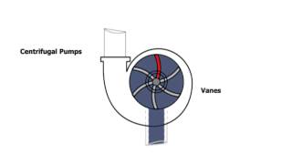 Centrifugal Pump Animation