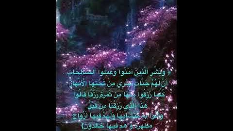 #خلفيات #دينية سورة البقرة آية 25