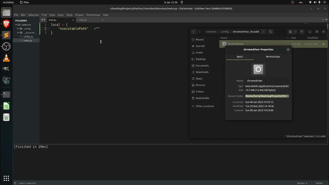 Python || Selenium Browser Automation #1: how to open browser with ...