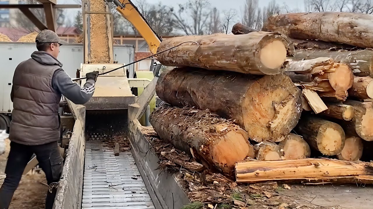 EXTREME TEST — When Logs Shouldn’t Fit the Shredder.