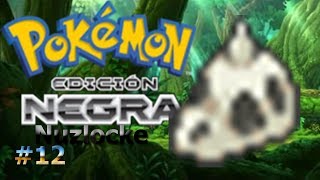 Búsqueda en el Bosque Azulejo/Pokémon Negro Nuzlocke #12