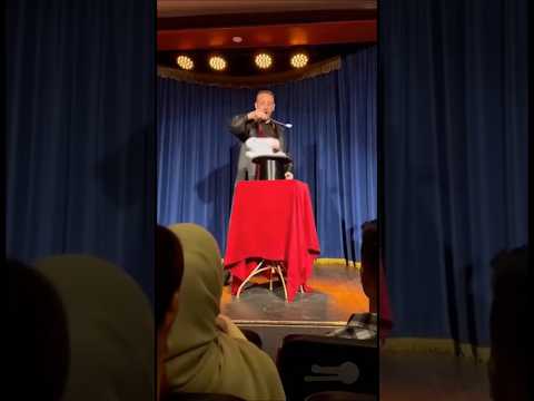 لما تترك أرنبين بمفردهما لدقيقة