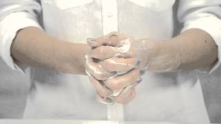 Herb I Vore Product Launch Video