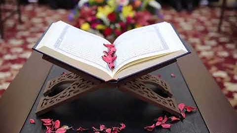 سورة التكاثر للشيخ عبدالله الموسى