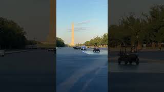 WATCH: Trump's Motorcade Drives OVER the Lincoln Memorial Reflecting Pool #shorts
