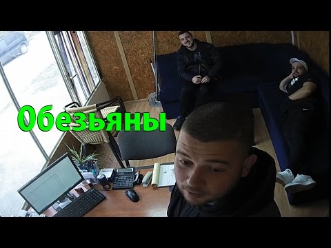 Взлом камер - Обезьяны