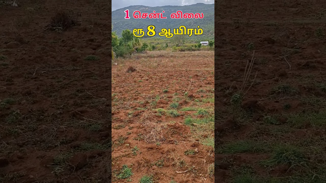 Low budget farm land for sale | 